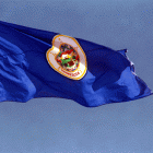 minnesota_flag.gif