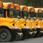 a line of yellow school buses