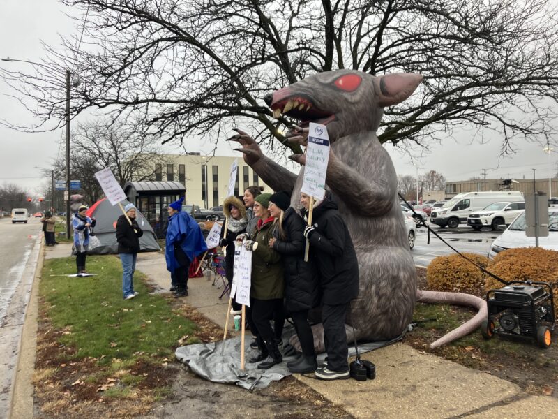 Nurses on the picket line posing with an inflatable, Scabby the Rat, who is grey, has red eyes, and a long tail
