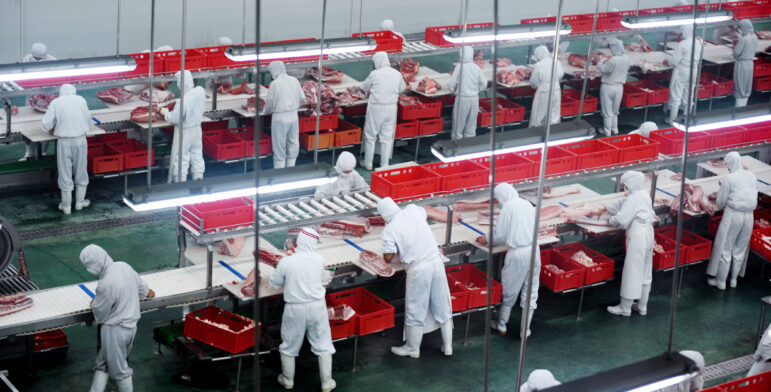 Two lines of workers covered in white from head to toe stand at assembly lines slicing meat into red boxes with fluorescent lights overhead
