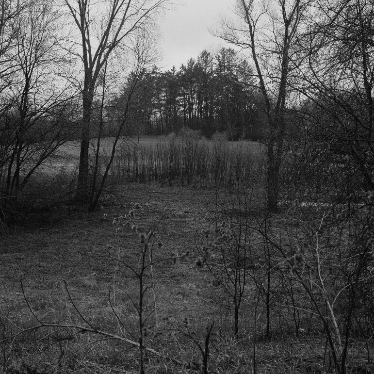 A photograph of Theodore Wirth Regional Park in Minneapolis, where bus operators of the 7 route can take a short break. Grant shared that she was interested in the Twin Cities urban and natural landscapes within the boundaries of the city and capturing the experience of bus drivers who drive through these landscapes all within one route. 